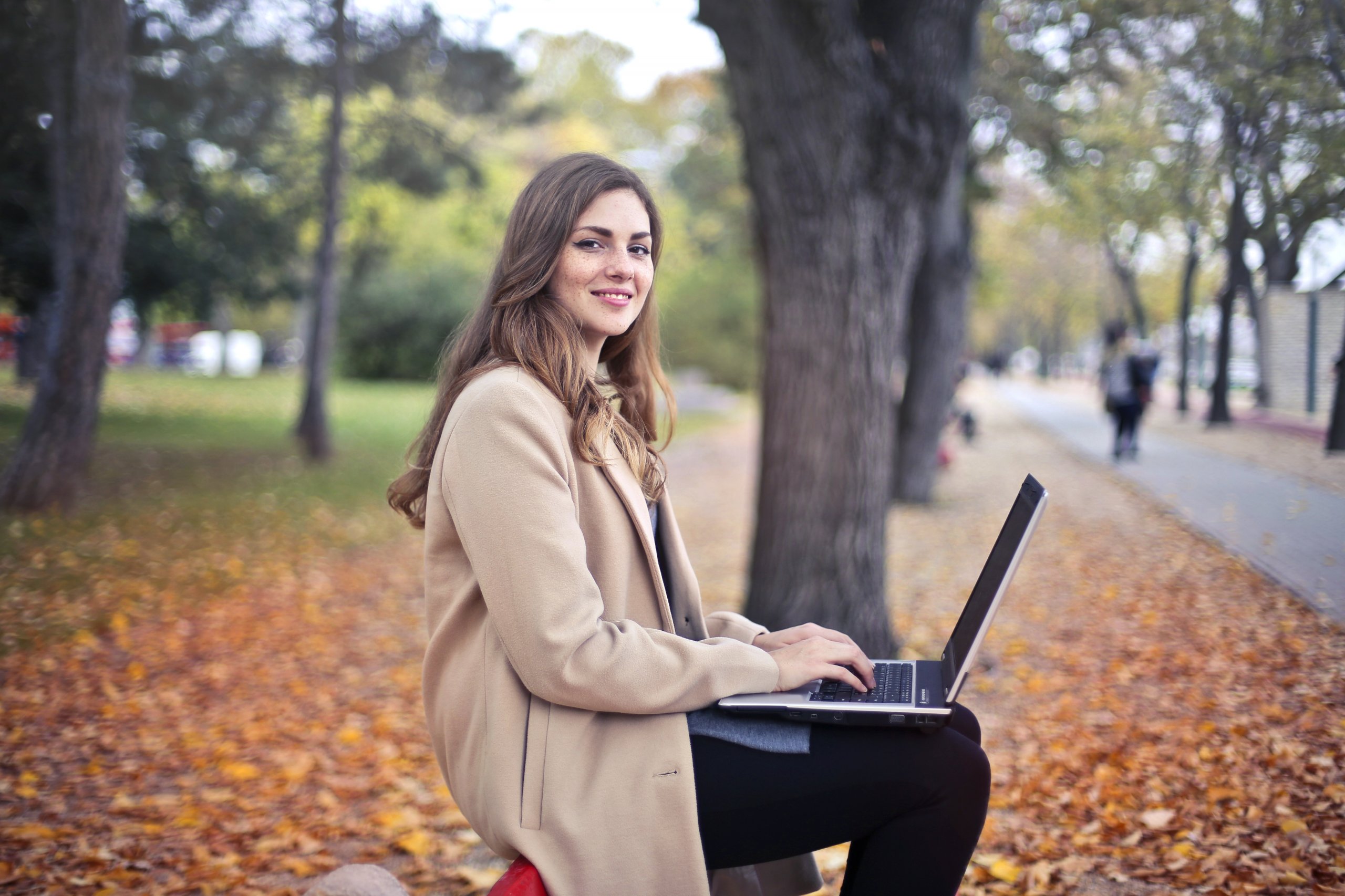 laptop-tree laptop-tree